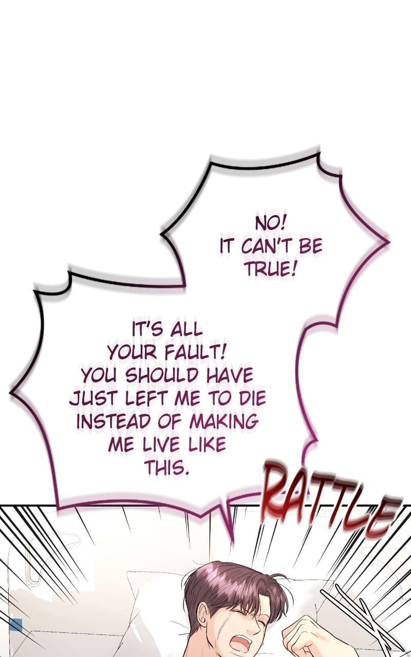 Read Perfect Marriage Revenge EN Manga Online