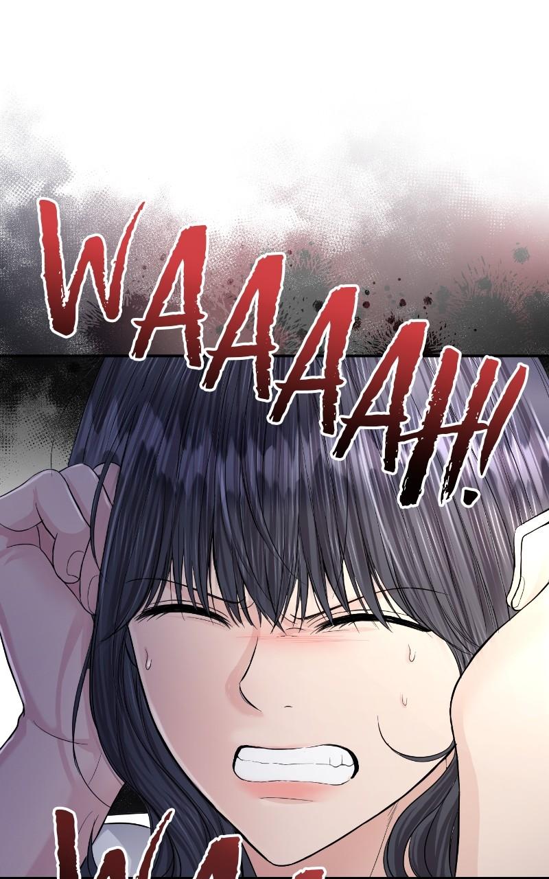 Read Perfect Marriage Revenge EN Manga Online