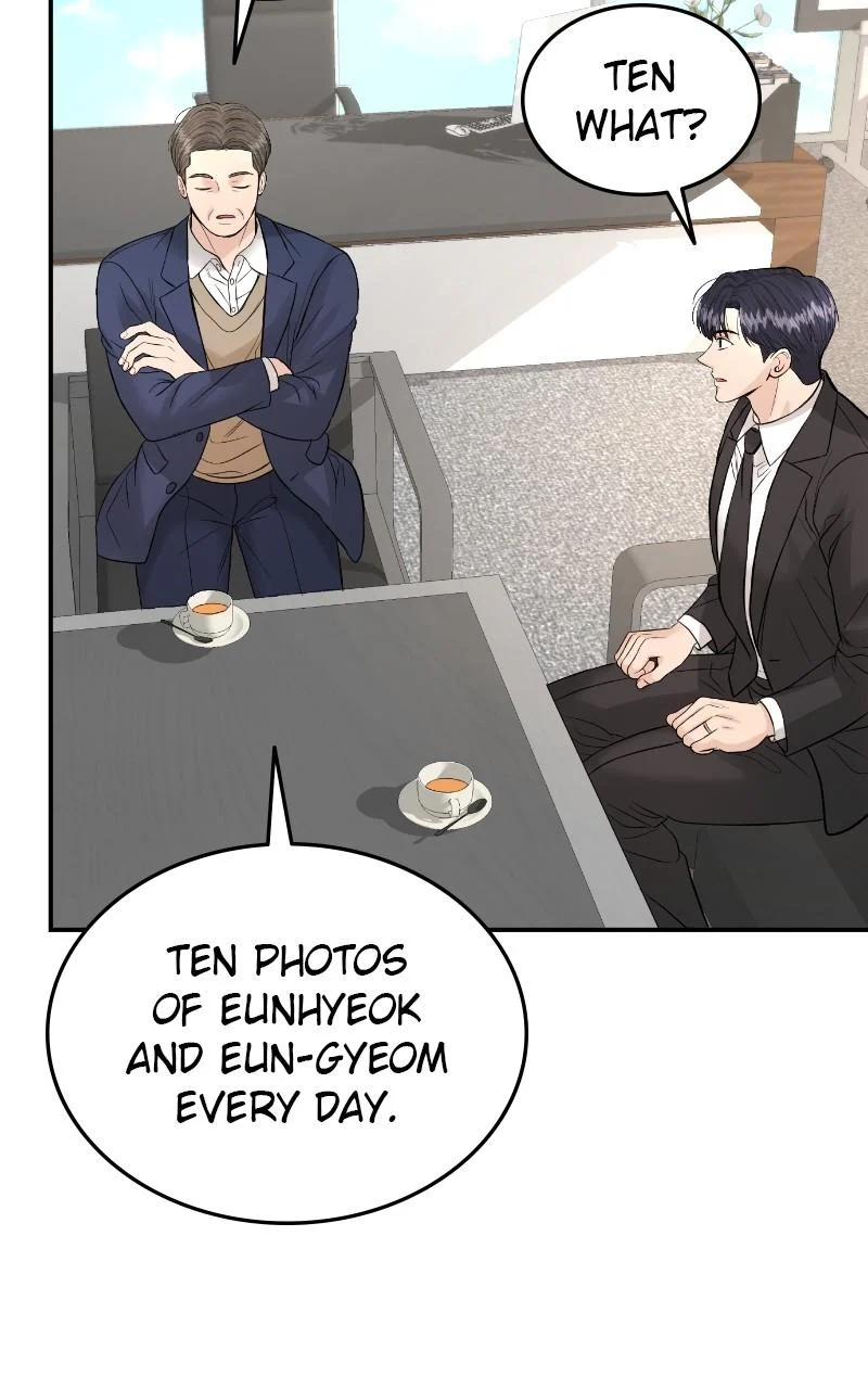 Read Perfect Marriage Revenge EN Manga Online