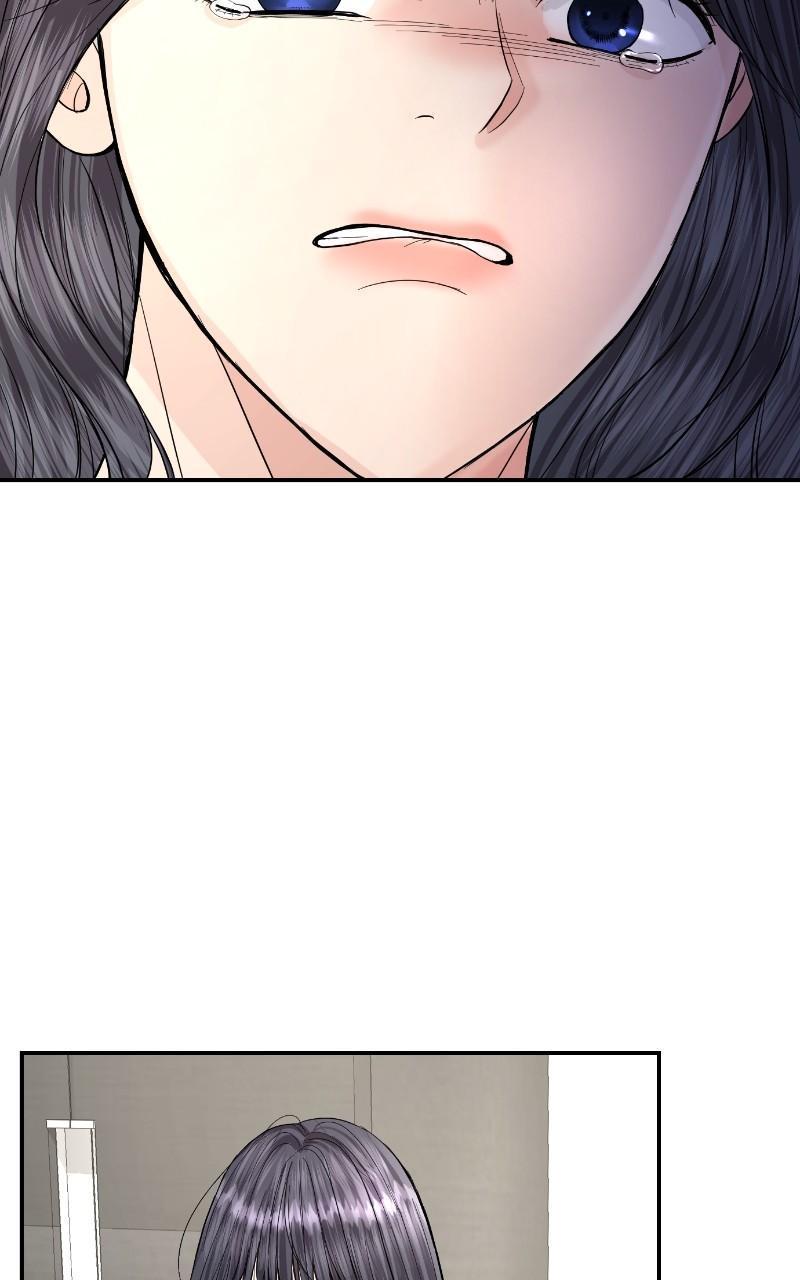 Read Perfect Marriage Revenge EN Manga Online