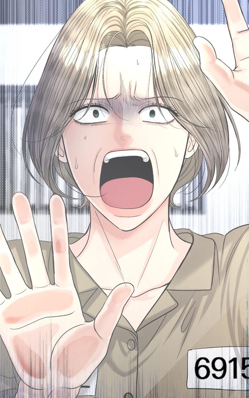 Read Perfect Marriage Revenge EN Manga Online