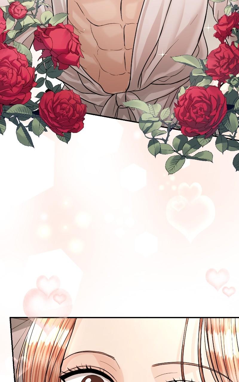 Read Perfect Marriage Revenge EN Manga Online