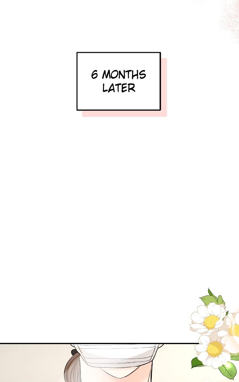 Read Perfect Marriage Revenge EN Manga Online