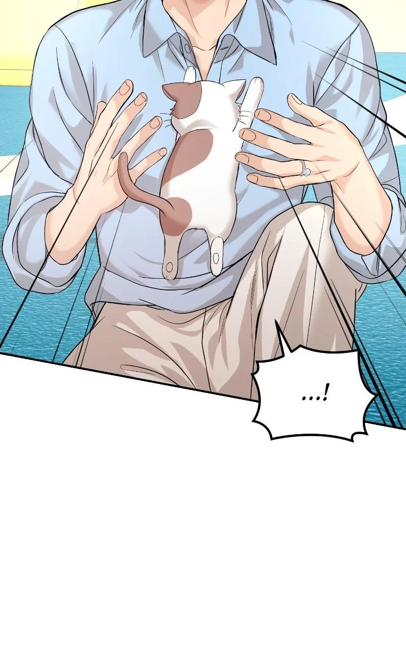 Read Perfect Marriage Revenge EN Manga Online