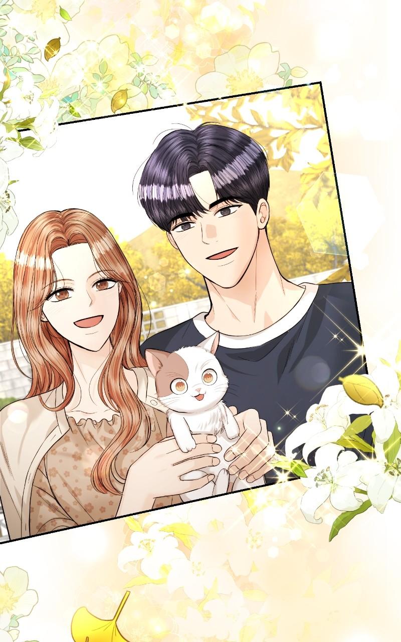 Read Perfect Marriage Revenge EN Manga Online