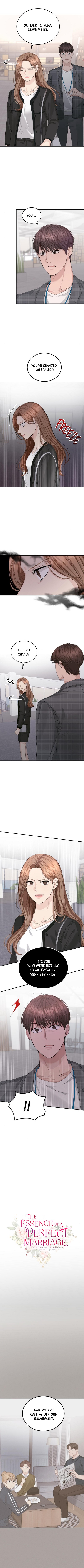 Read Perfect Marriage Revenge EN Manga Online