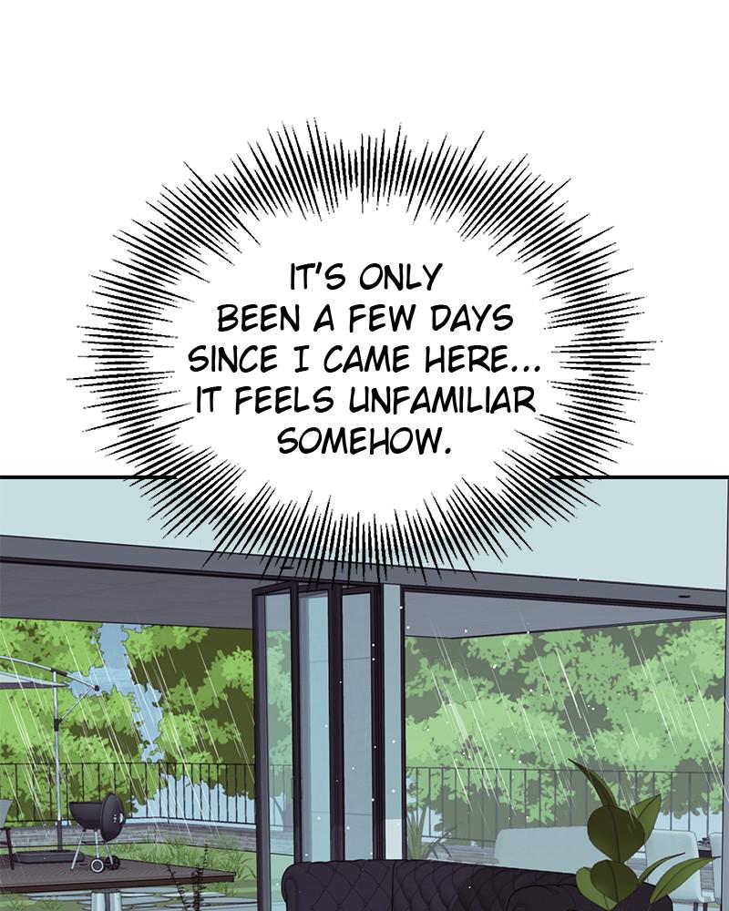 Read Perfect Marriage Revenge EN Manga Online