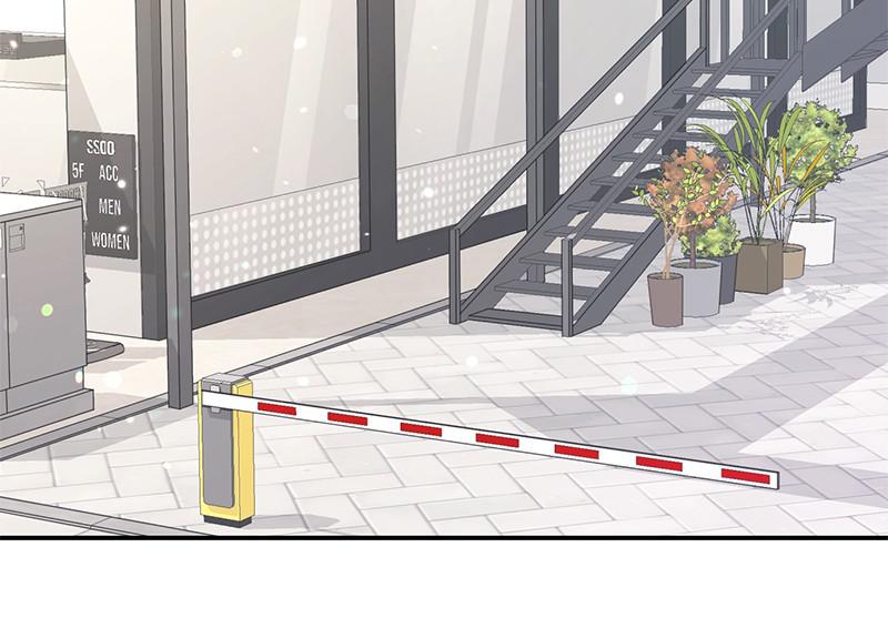 Read Perfect Marriage Revenge EN Manga Online