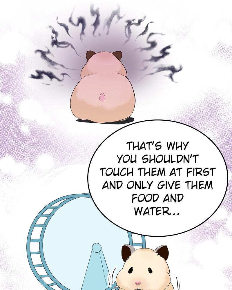 Read Perfect Marriage Revenge EN Manga Online