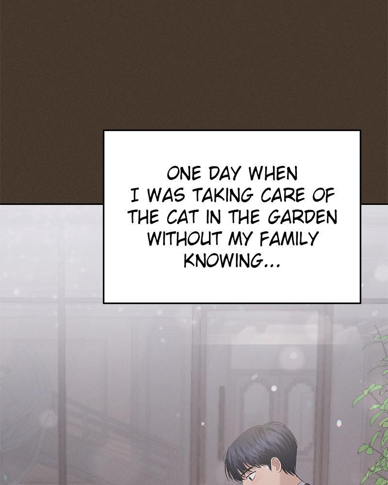 Read Perfect Marriage Revenge EN Manga Online