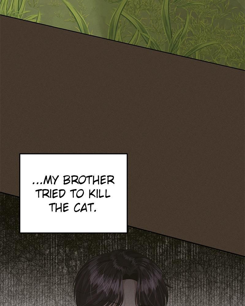 Read Perfect Marriage Revenge EN Manga Online