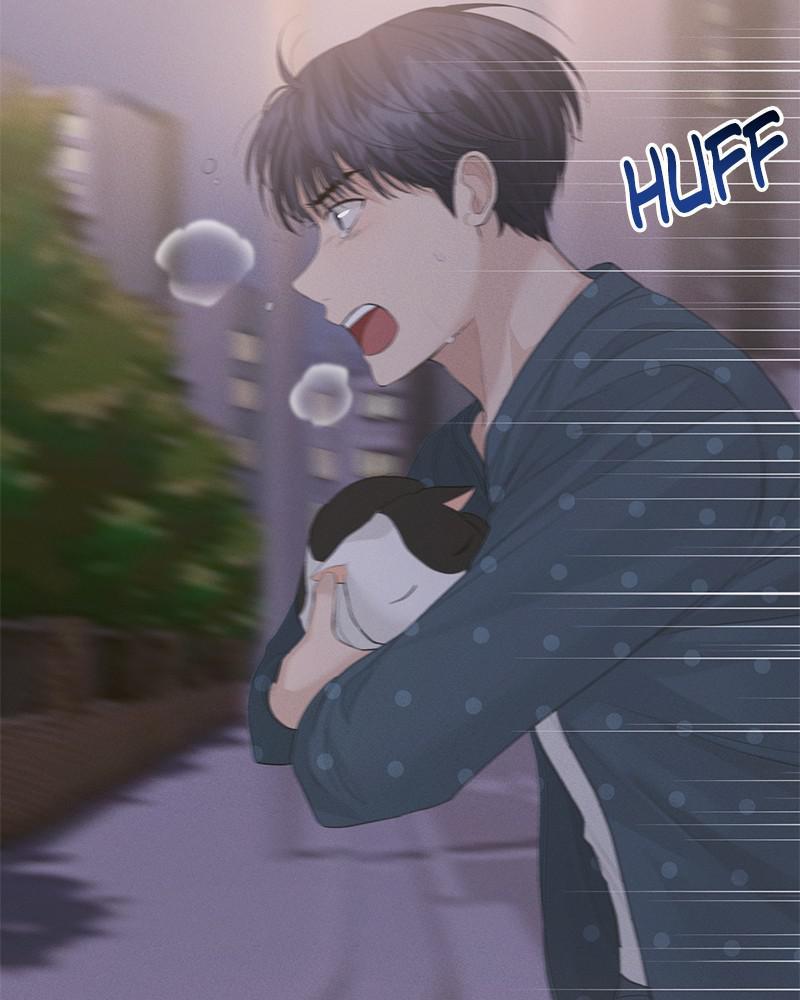 Read Perfect Marriage Revenge EN Manga Online