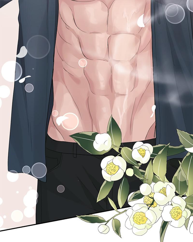 Read Perfect Marriage Revenge EN Manga Online