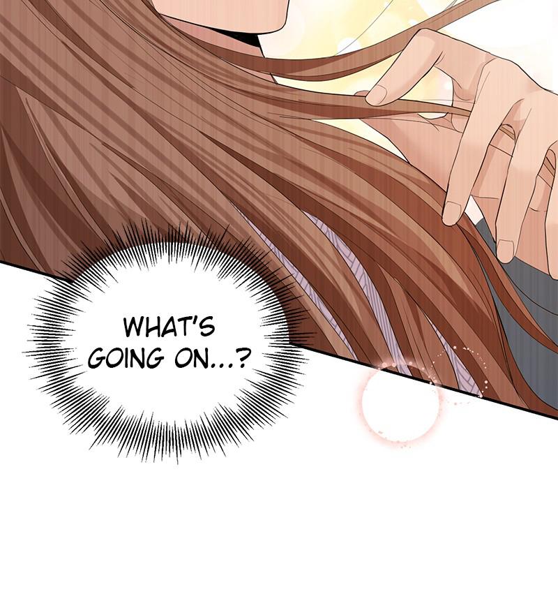 Read Perfect Marriage Revenge EN Manga Online