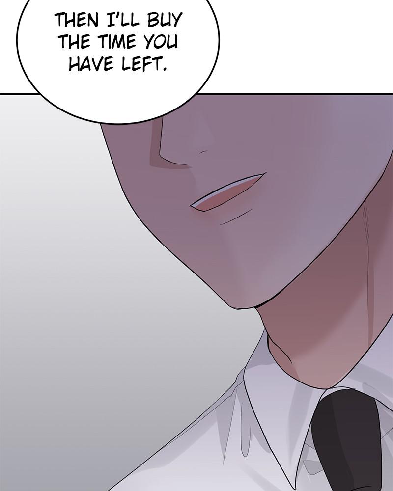 Read Perfect Marriage Revenge EN Manga Online