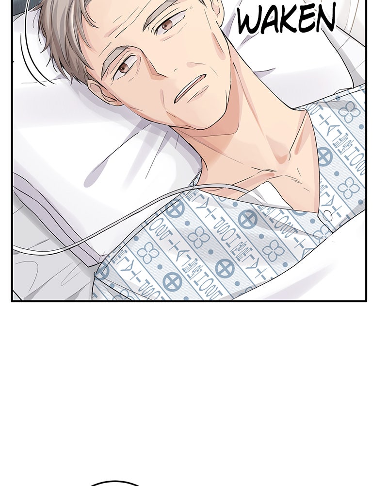 Read Perfect Marriage Revenge EN Manga Online