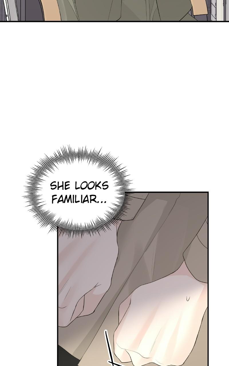 Read Perfect Marriage Revenge EN Manga Online