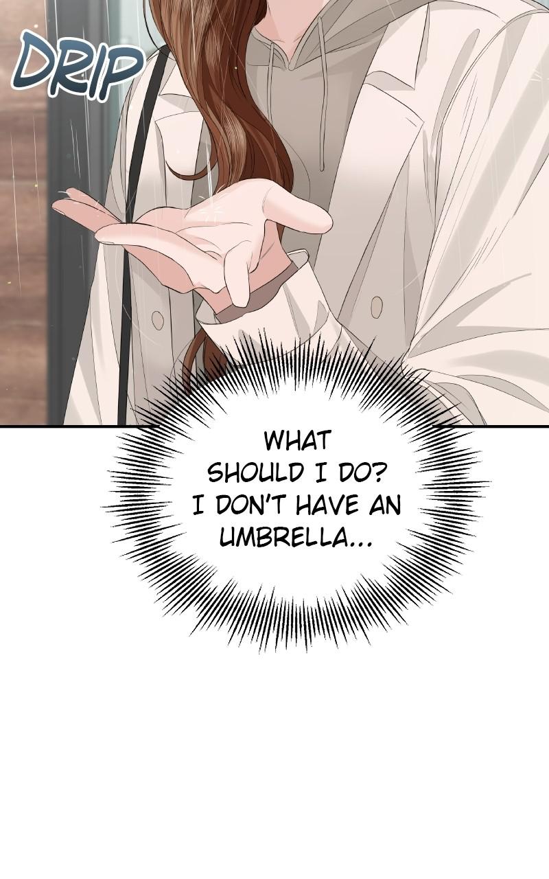 Read Perfect Marriage Revenge EN Manga Online