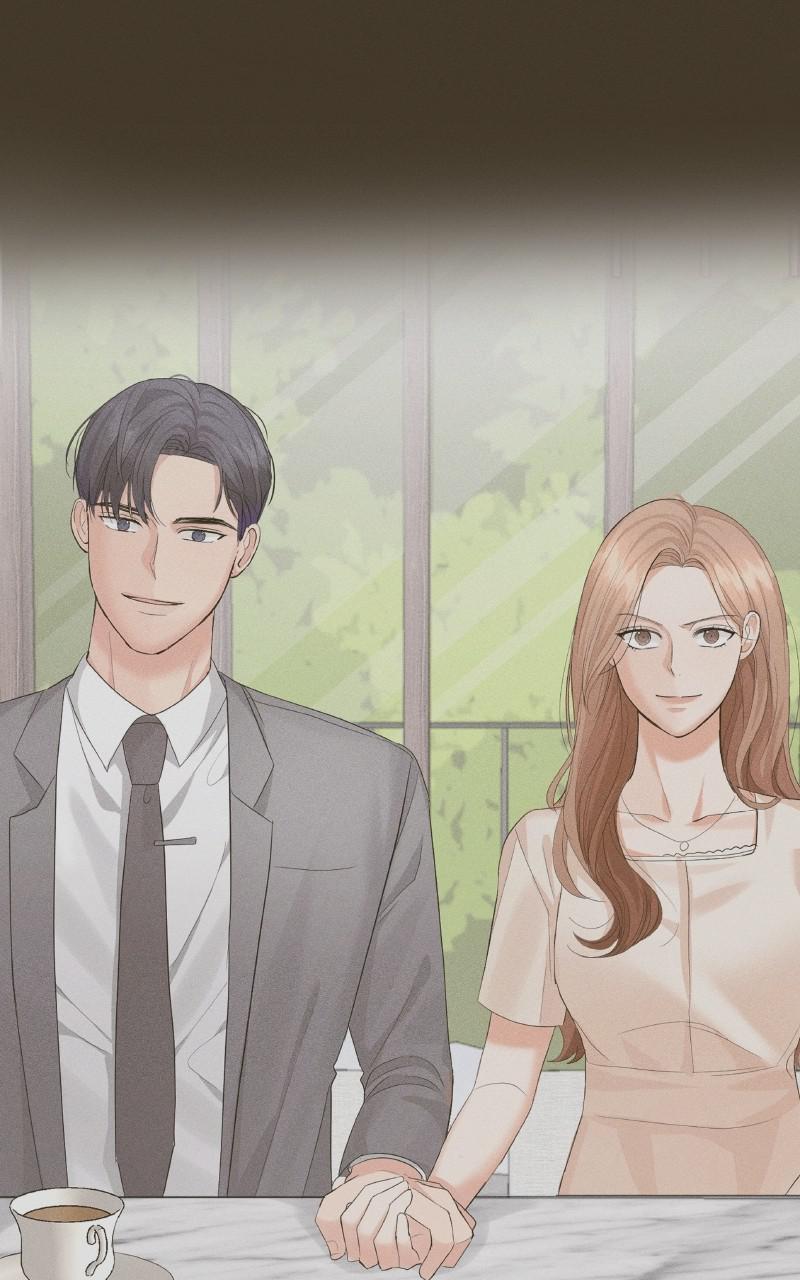 Read Perfect Marriage Revenge EN Manga Online