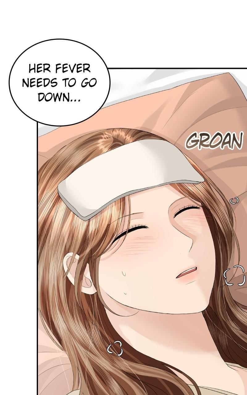 Read Perfect Marriage Revenge EN Manga Online