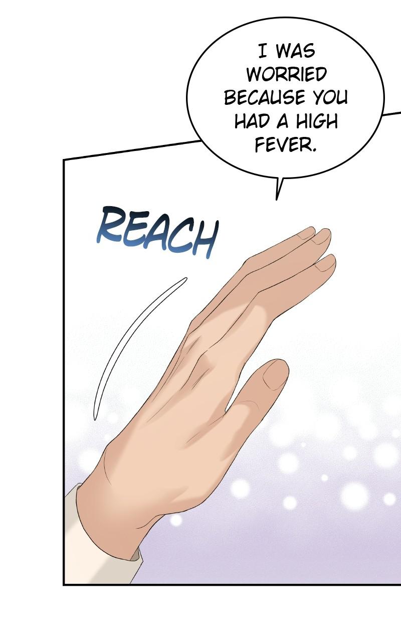 Read Perfect Marriage Revenge EN Manga Online