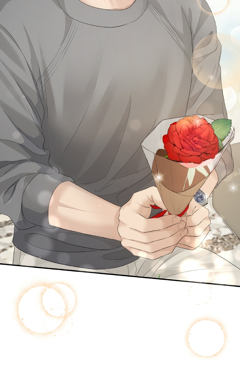 Read Perfect Marriage Revenge EN Manga Online