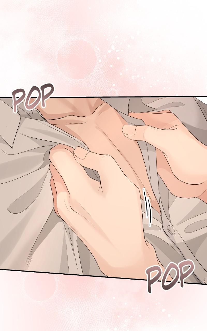 Read Perfect Marriage Revenge EN Manga Online