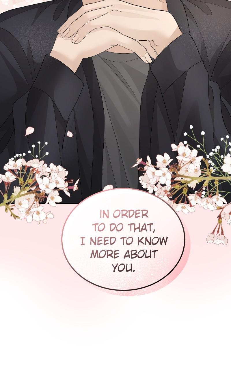 Read Perfect Marriage Revenge EN Manga Online