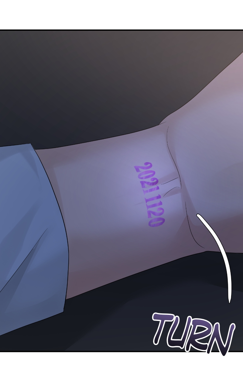 Read Perfect Marriage Revenge EN Manga Online