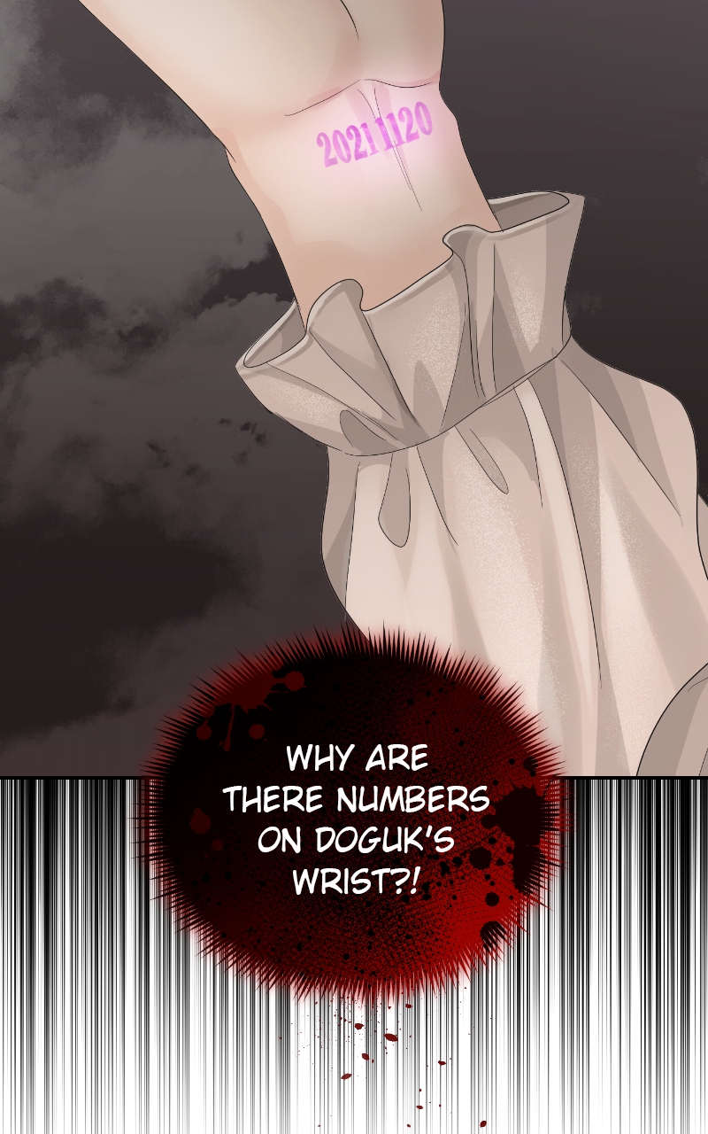 Read Perfect Marriage Revenge EN Manga Online