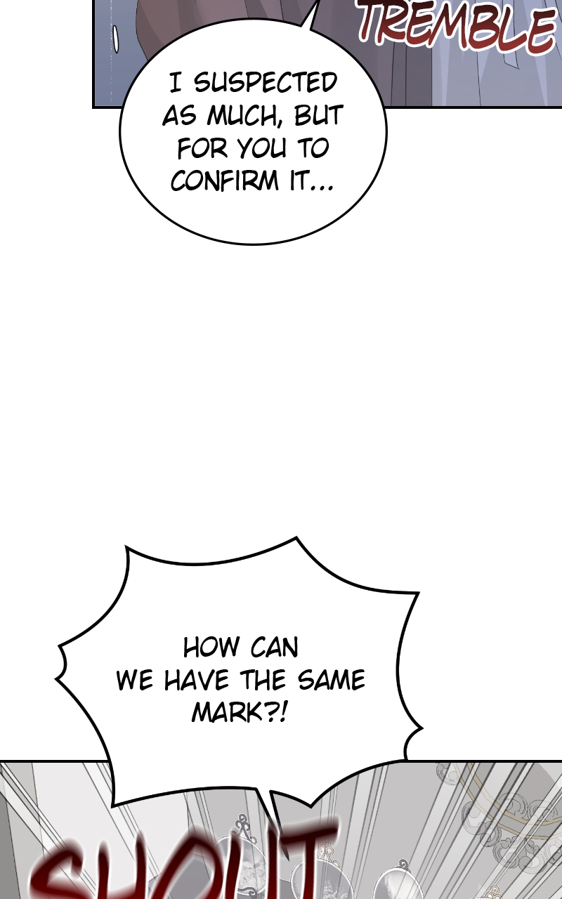 Read Perfect Marriage Revenge EN Manga Online