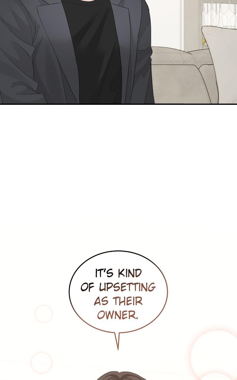 Read Perfect Marriage Revenge EN Manga Online