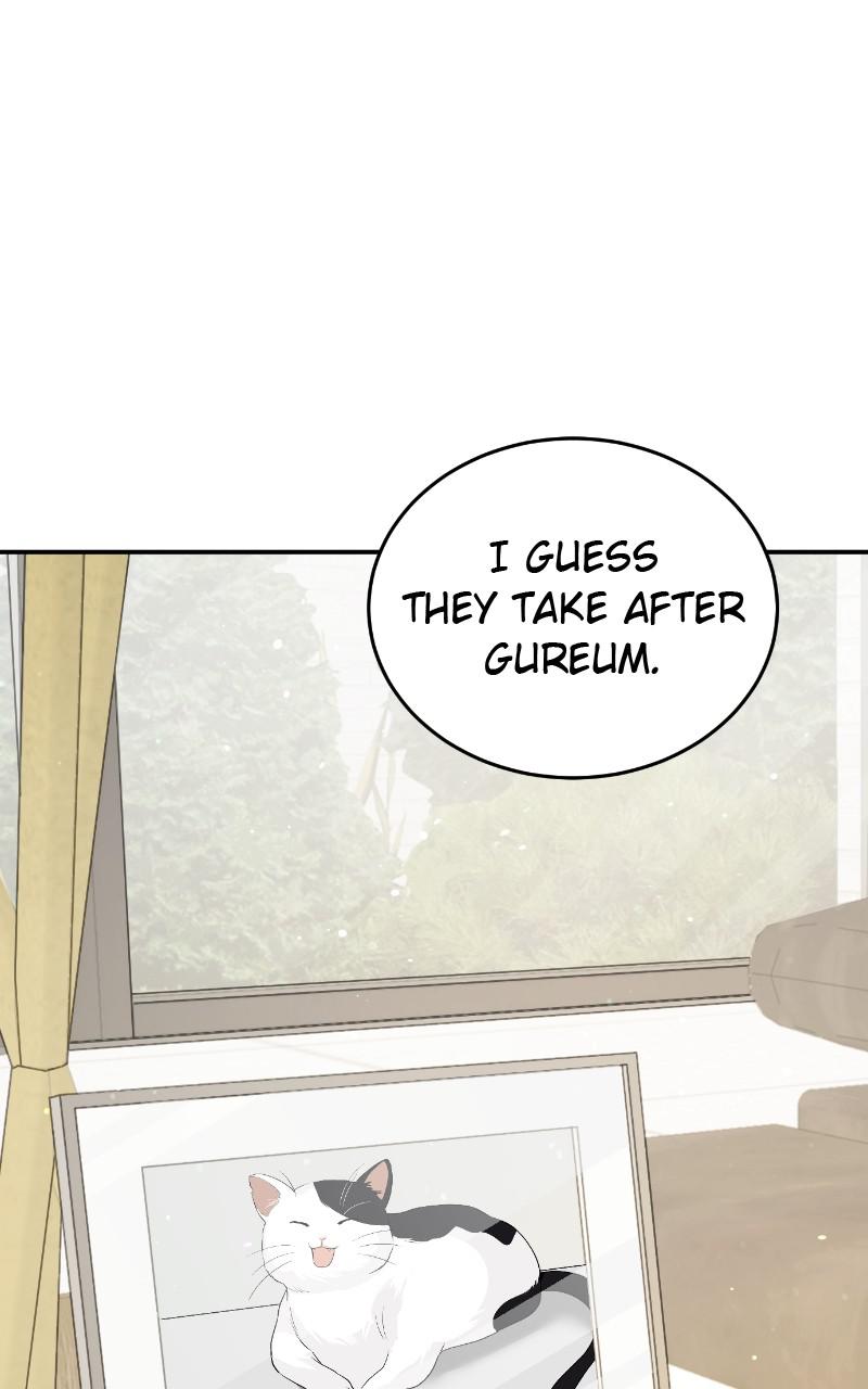 Read Perfect Marriage Revenge EN Manga Online