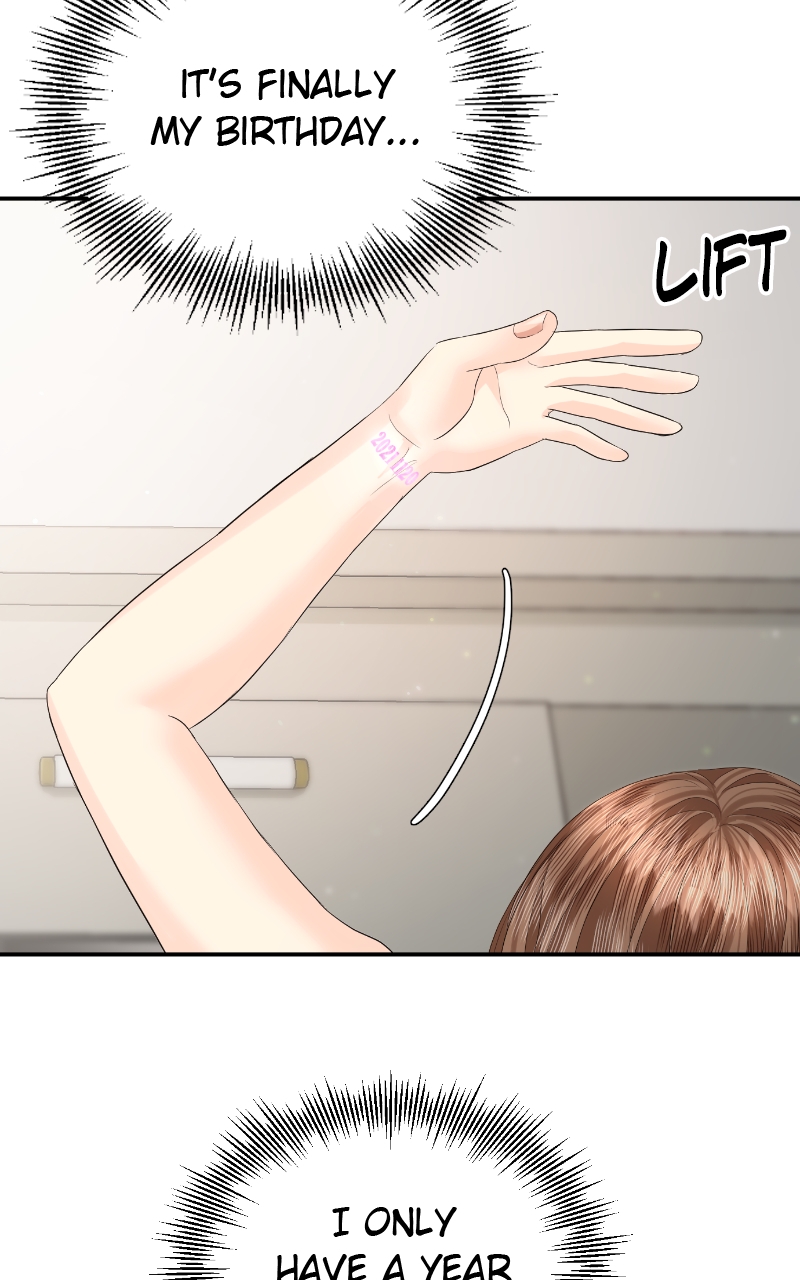 Read Perfect Marriage Revenge EN Manga Online