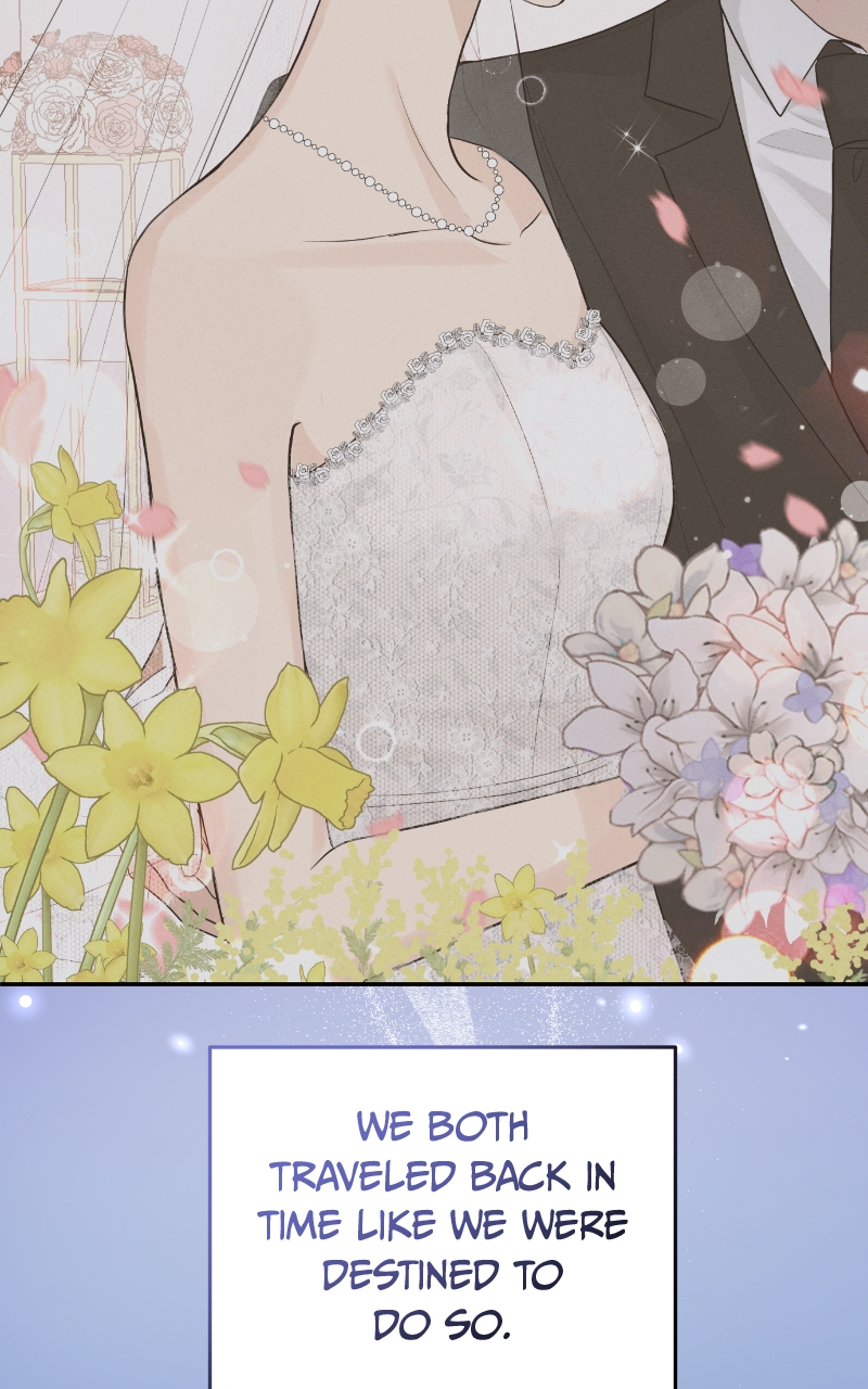 Read Perfect Marriage Revenge EN Manga Online