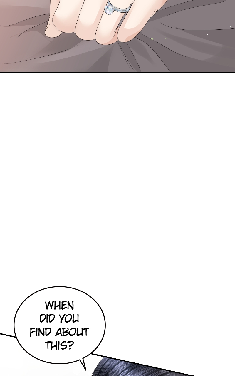 Read Perfect Marriage Revenge EN Manga Online