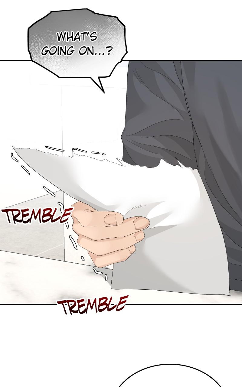 Read Perfect Marriage Revenge EN Manga Online