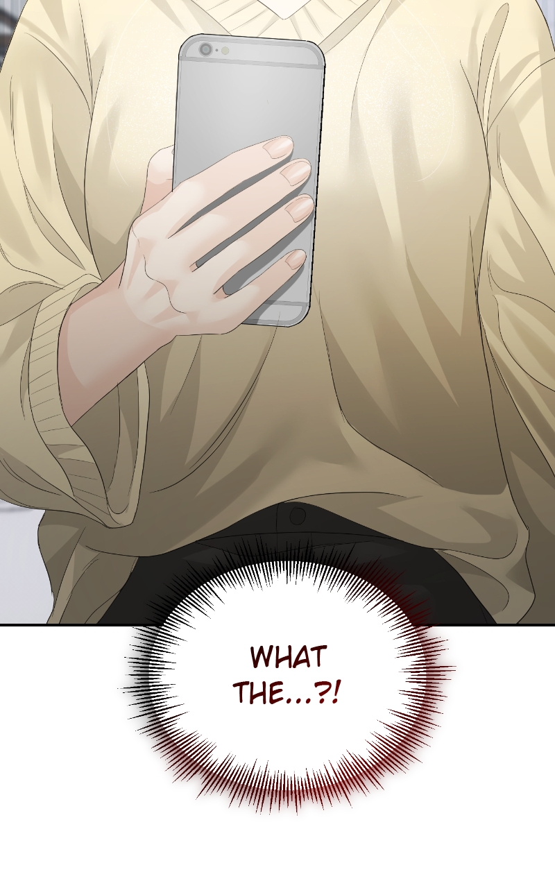 Read Perfect Marriage Revenge EN Manga Online