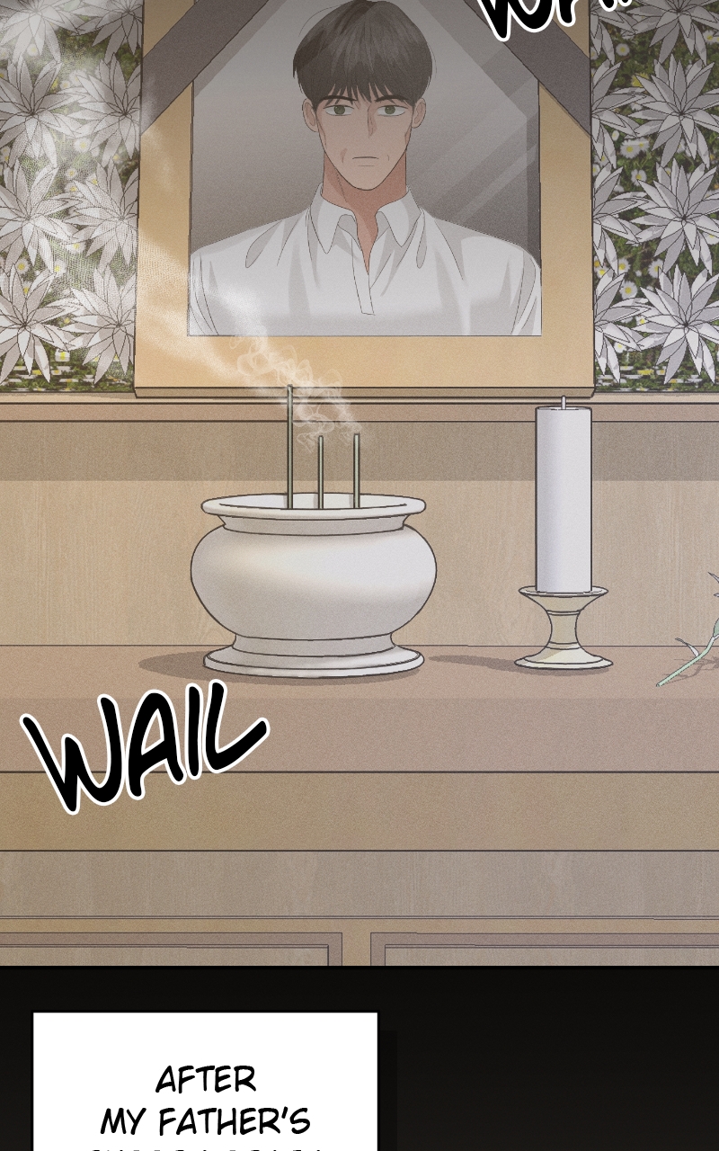 Read Perfect Marriage Revenge EN Manga Online