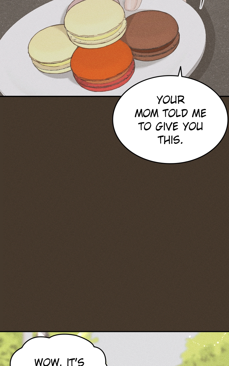 Read Perfect Marriage Revenge EN Manga Online