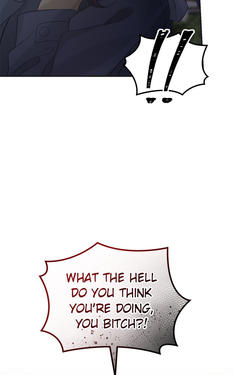 Read Perfect Marriage Revenge EN Manga Online