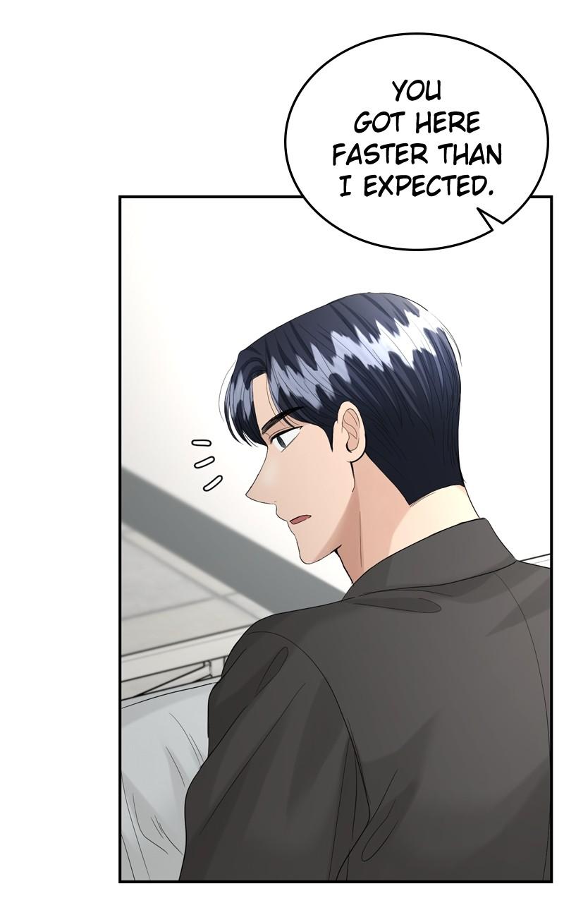 Read Perfect Marriage Revenge EN Manga Online