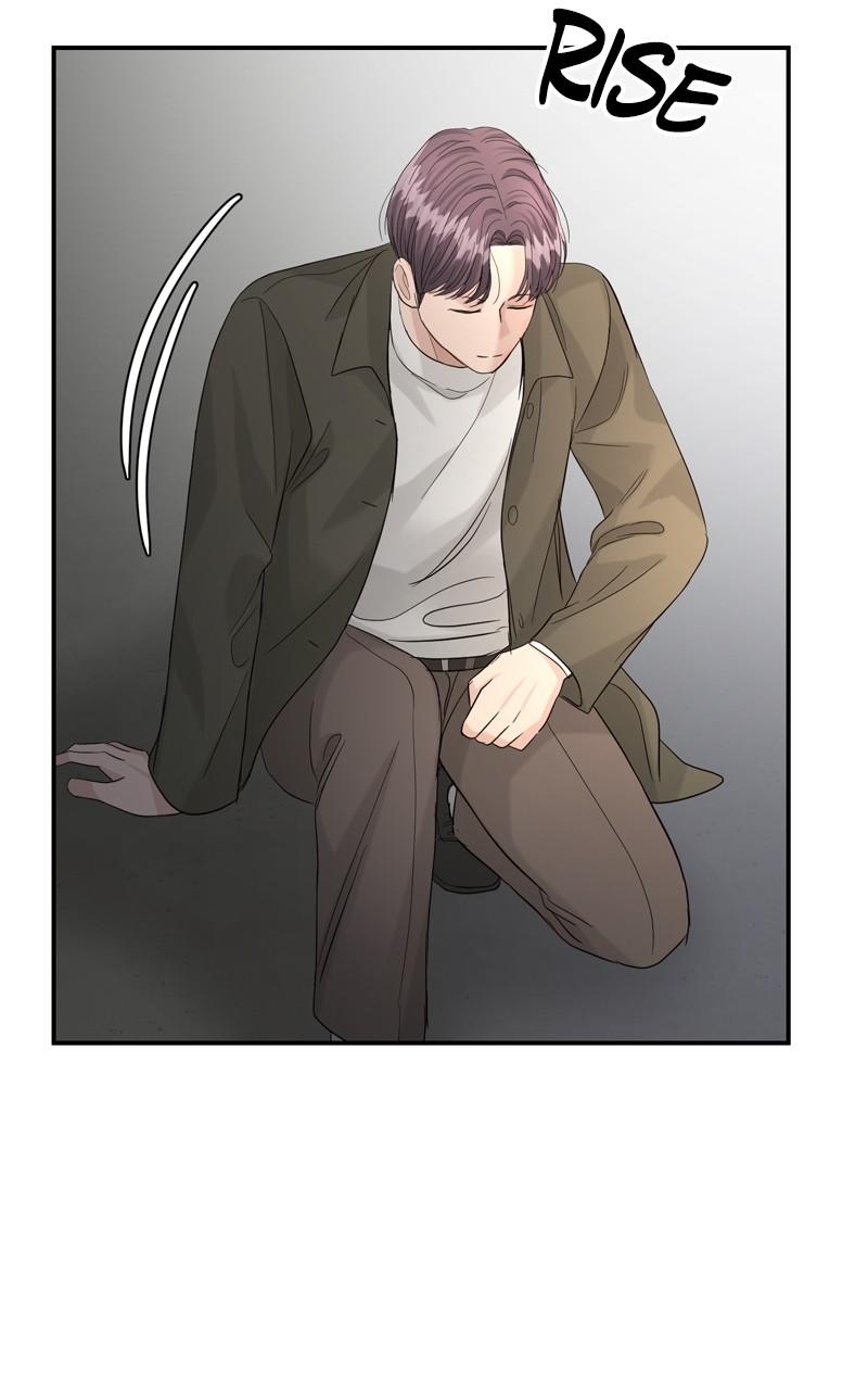 Read Perfect Marriage Revenge EN Manga Online