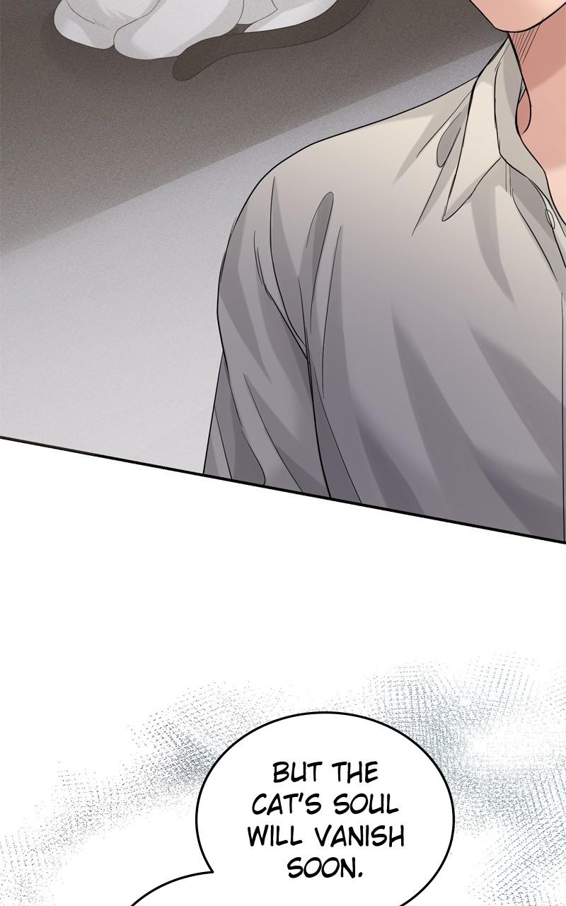 Read Perfect Marriage Revenge EN Manga Online