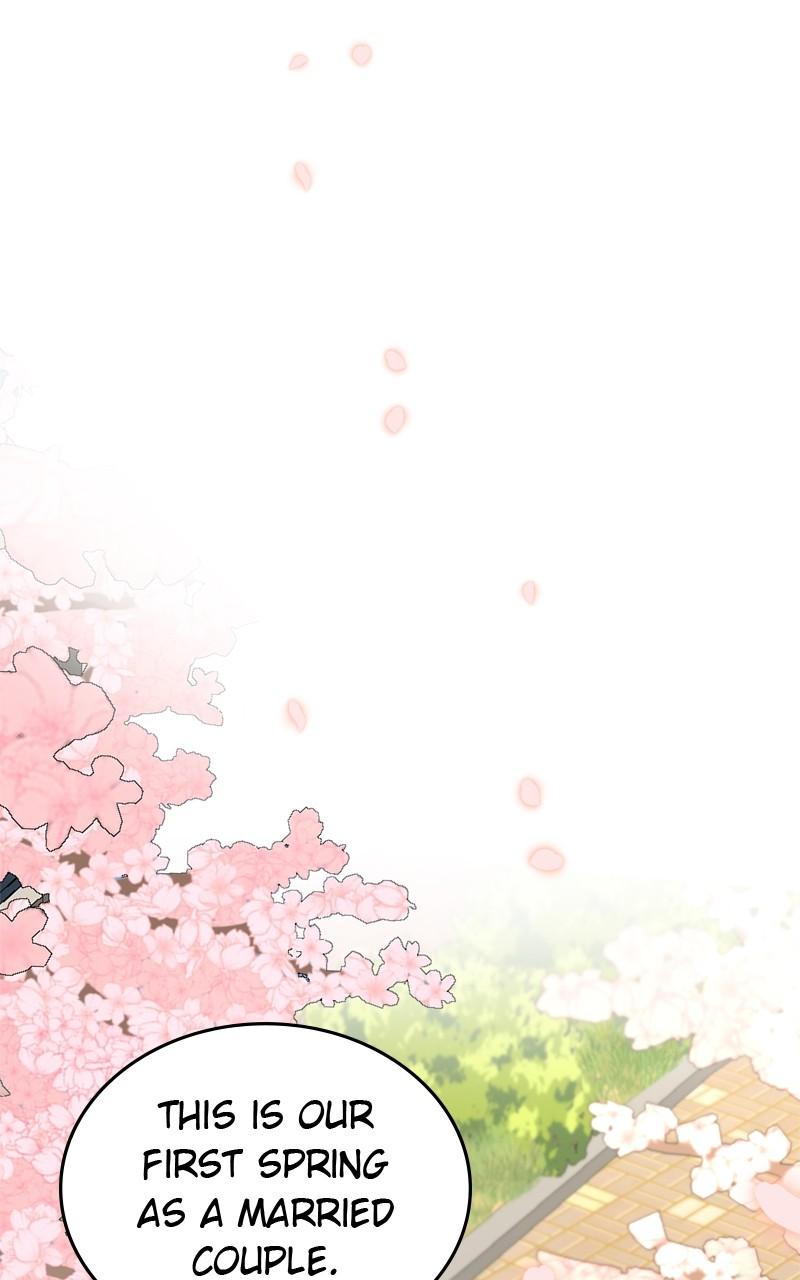 Read Perfect Marriage Revenge EN Manga Online