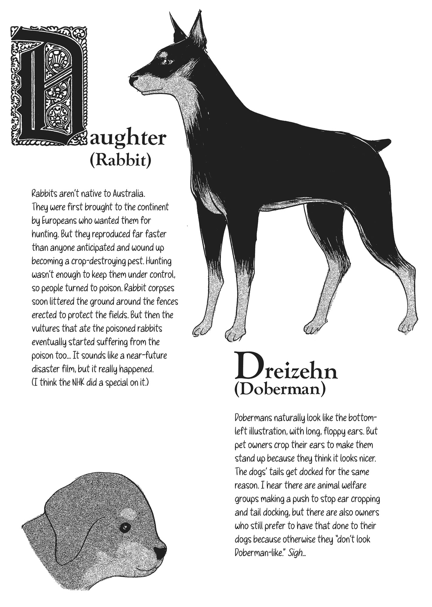 Read Pet Shop of Horrors EN Manga Online