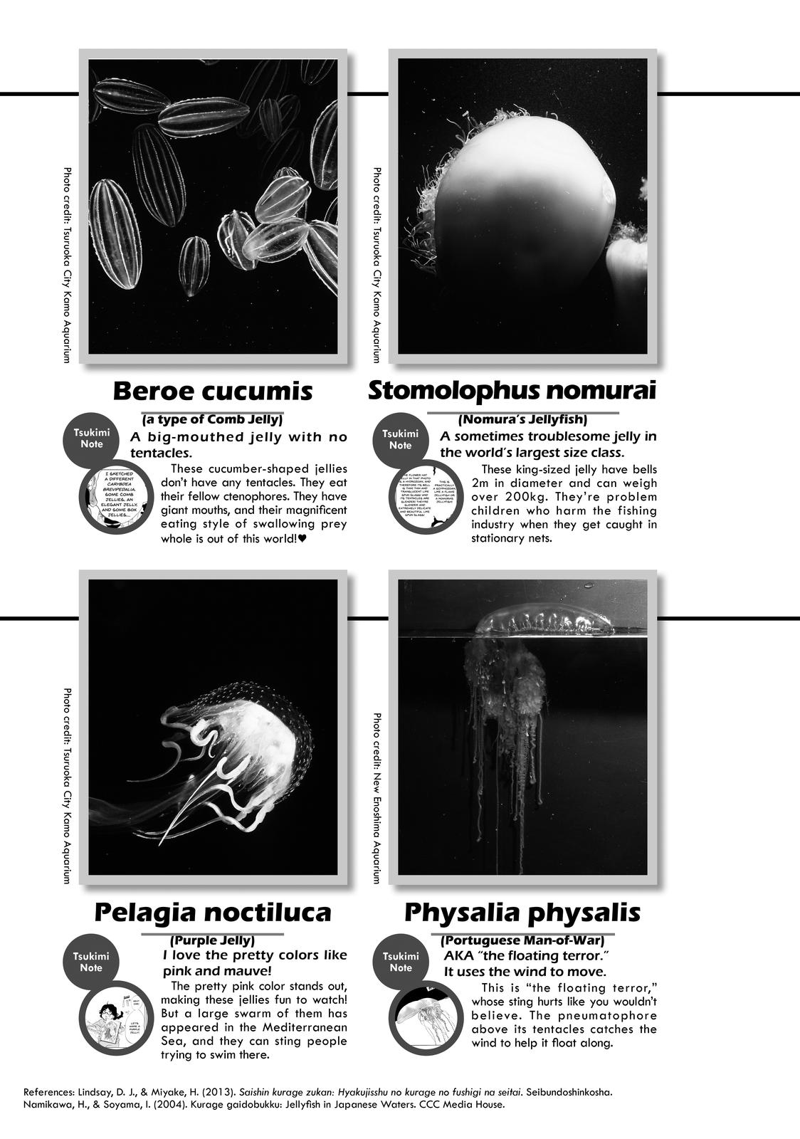 Read Princess Jellyfish EN Manga Online