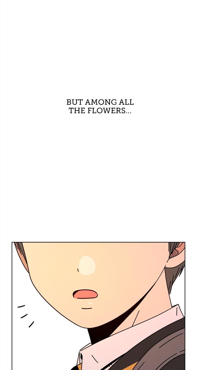 Read Seasons of Blossom EN Manga Online