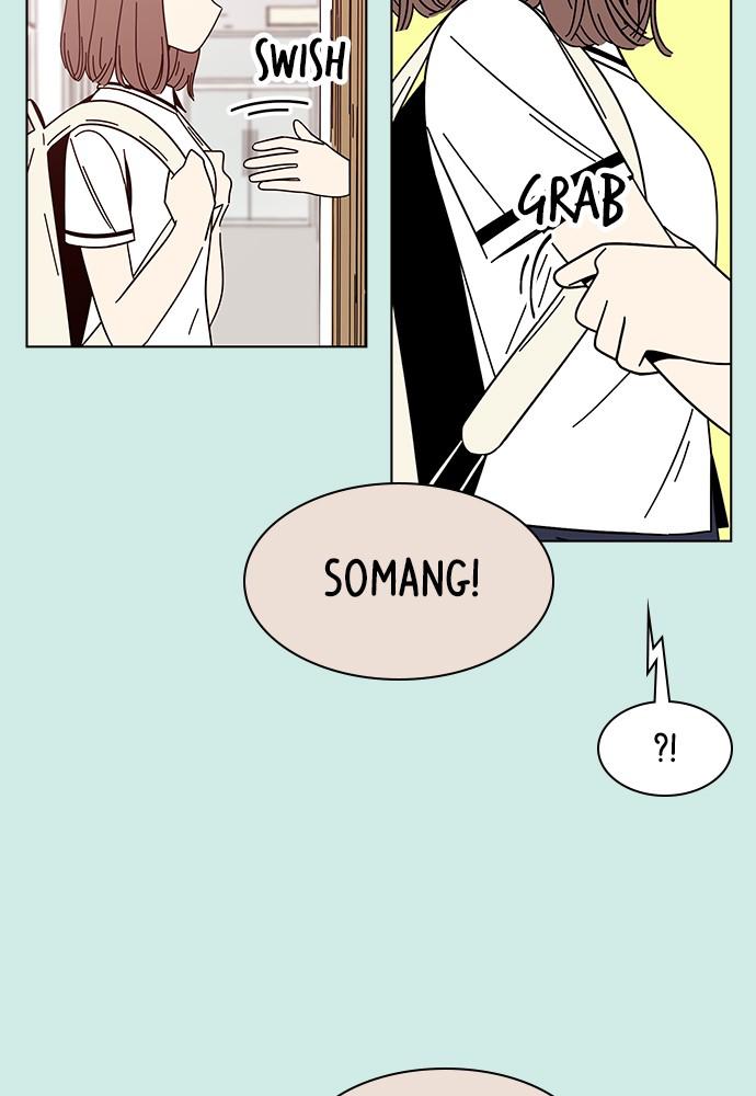 Read Seasons of Blossom EN Manga Online