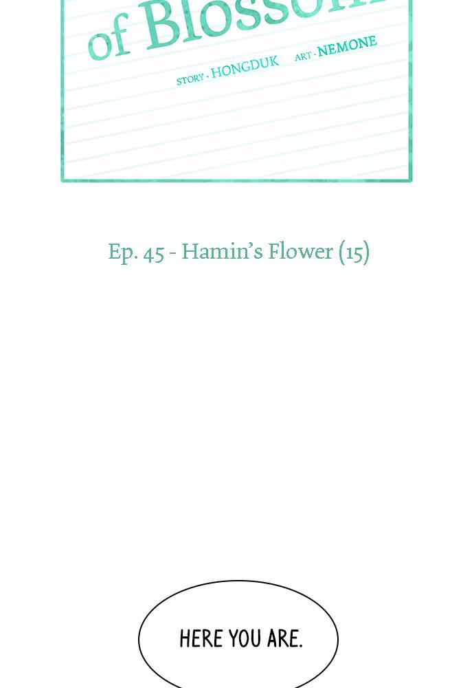 Read Seasons of Blossom EN Manga Online